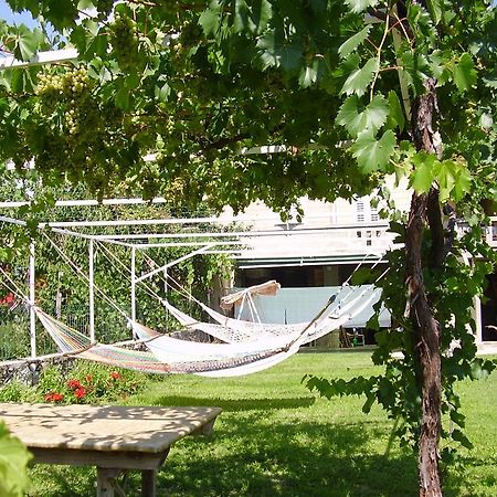 Guest House Darinka Draga Bašćanska Bagian luar foto