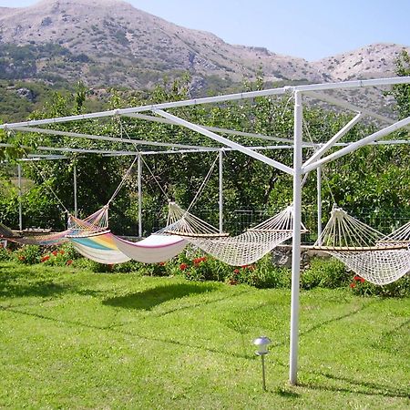 Guest House Darinka Draga Bašćanska Bagian luar foto