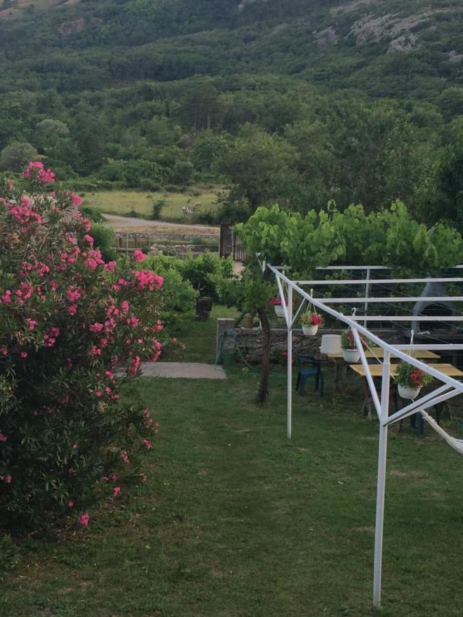 Guest House Darinka Draga Bašćanska Bagian luar foto