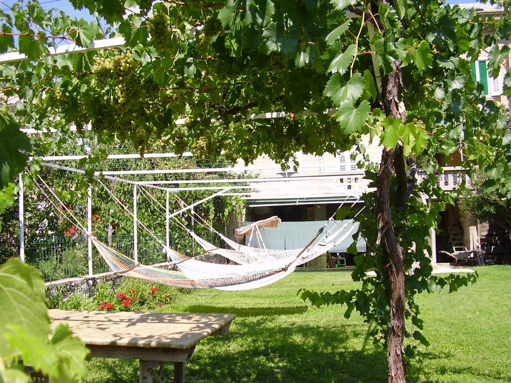 Guest House Darinka Draga Bašćanska Bagian luar foto