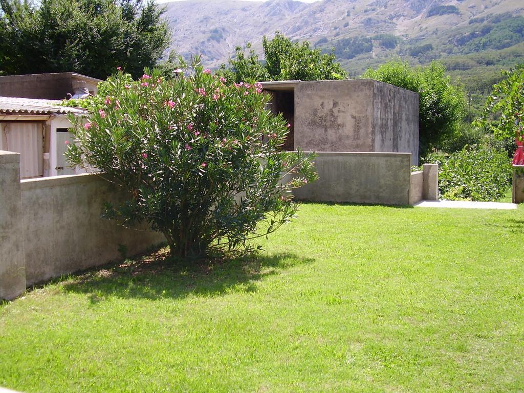 Guest House Darinka Draga Bašćanska Bagian luar foto