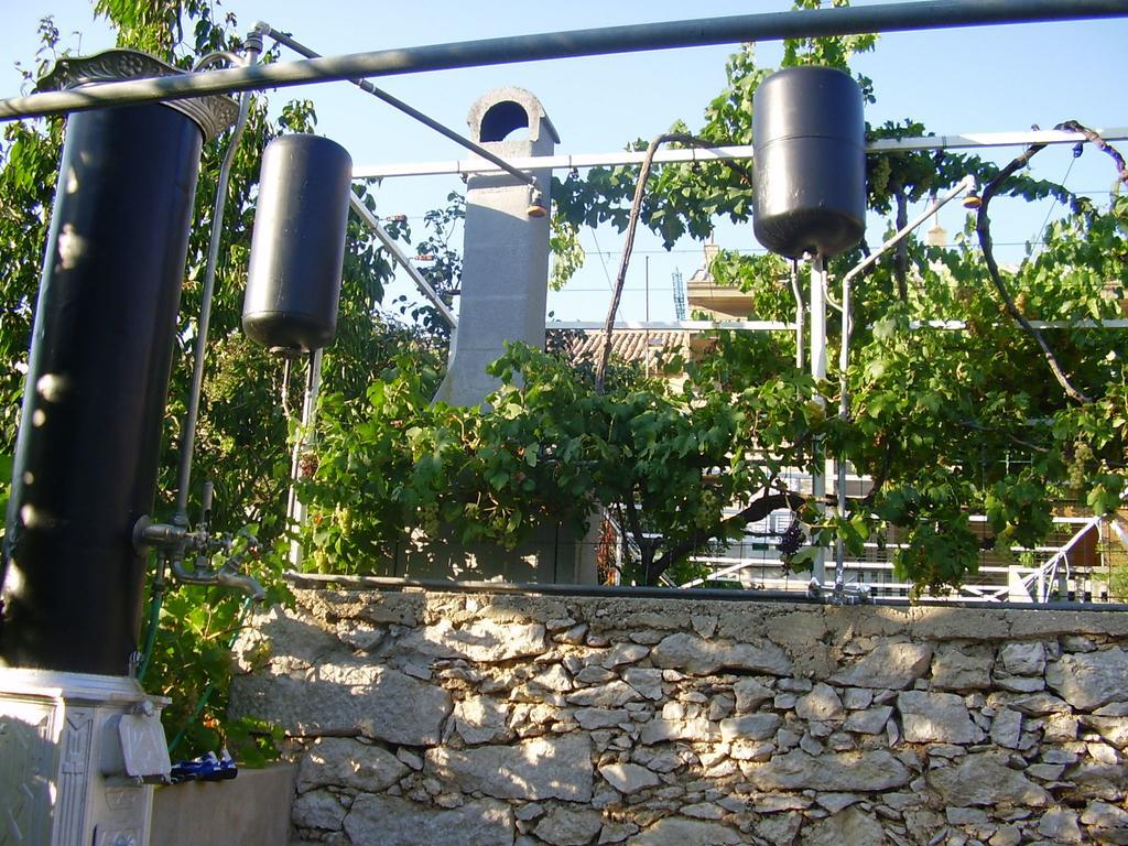 Guest House Darinka Draga Bašćanska Bagian luar foto